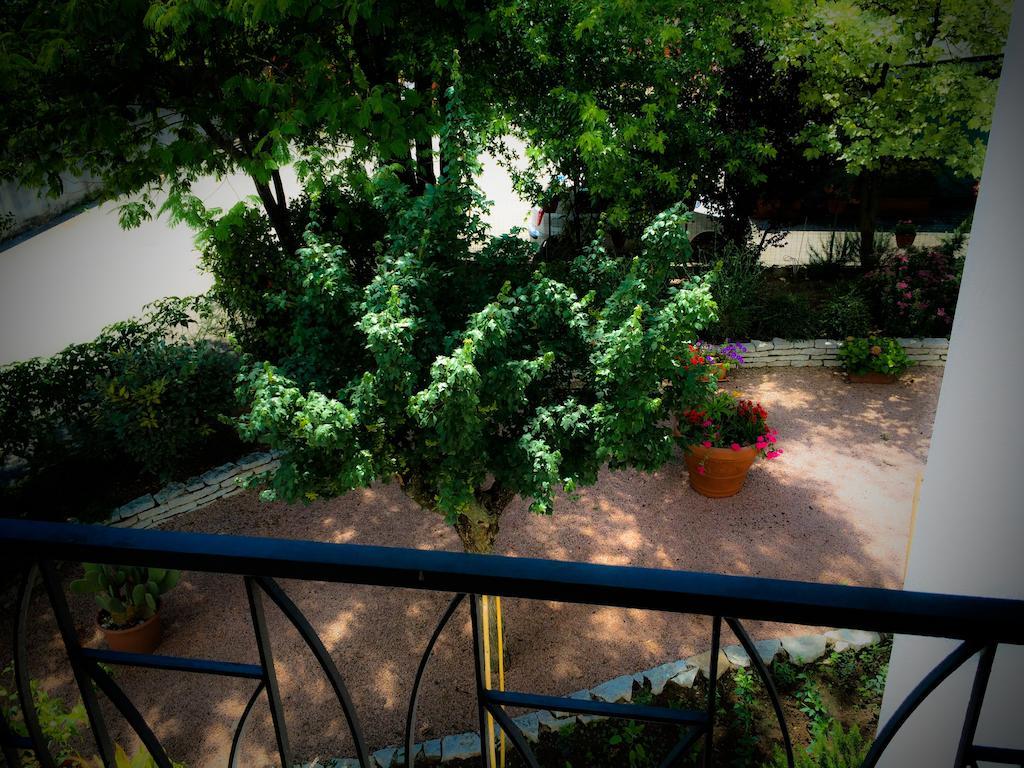 Bed & Breakfast Don Carlos San Martino di Lupari Buitenkant foto