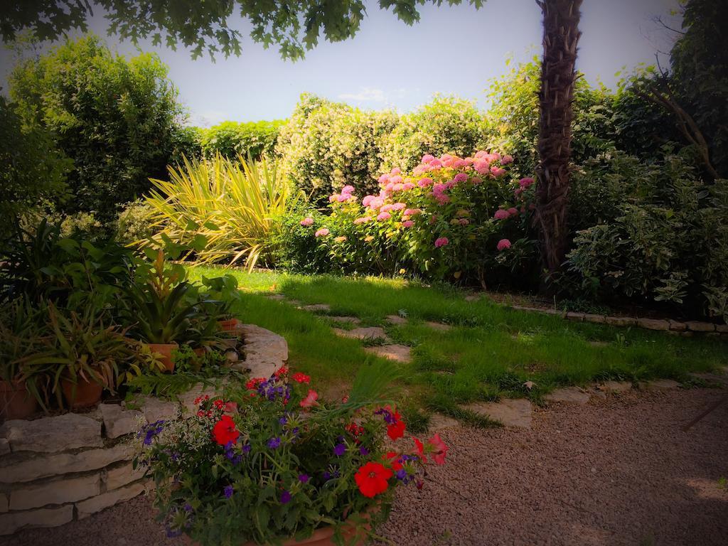 Bed & Breakfast Don Carlos San Martino di Lupari Buitenkant foto
