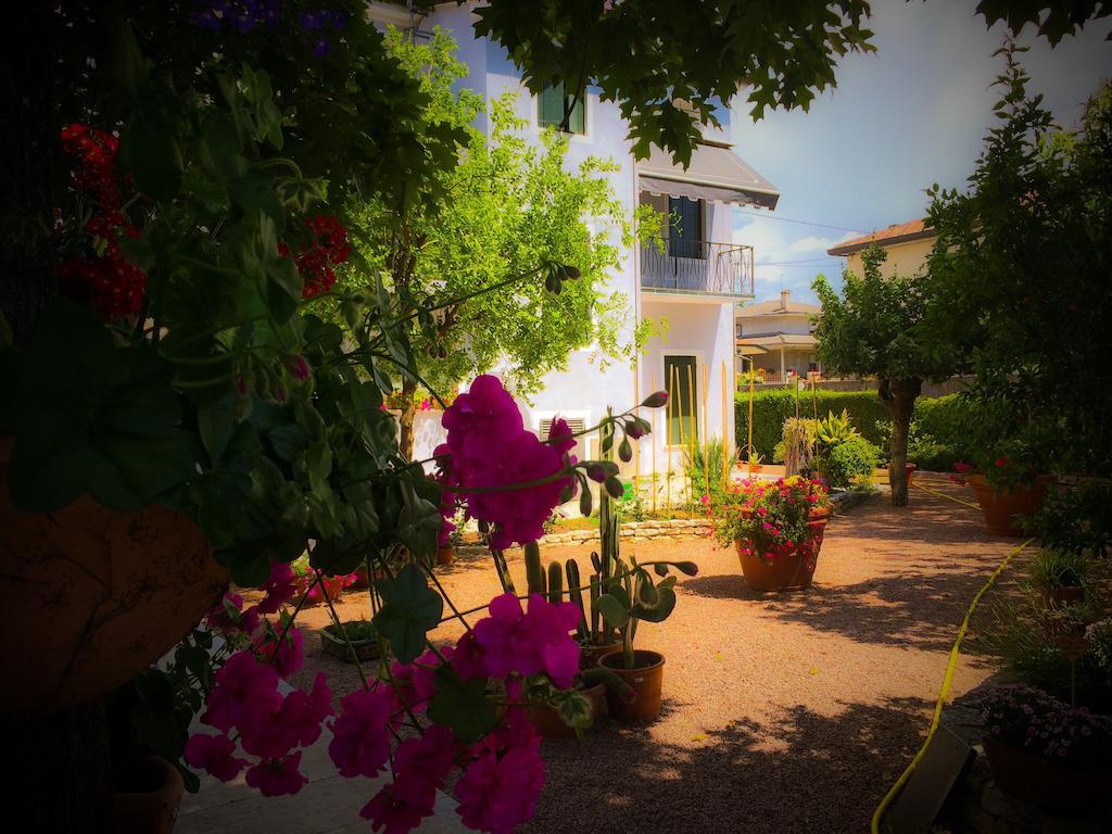 Bed & Breakfast Don Carlos San Martino di Lupari Buitenkant foto