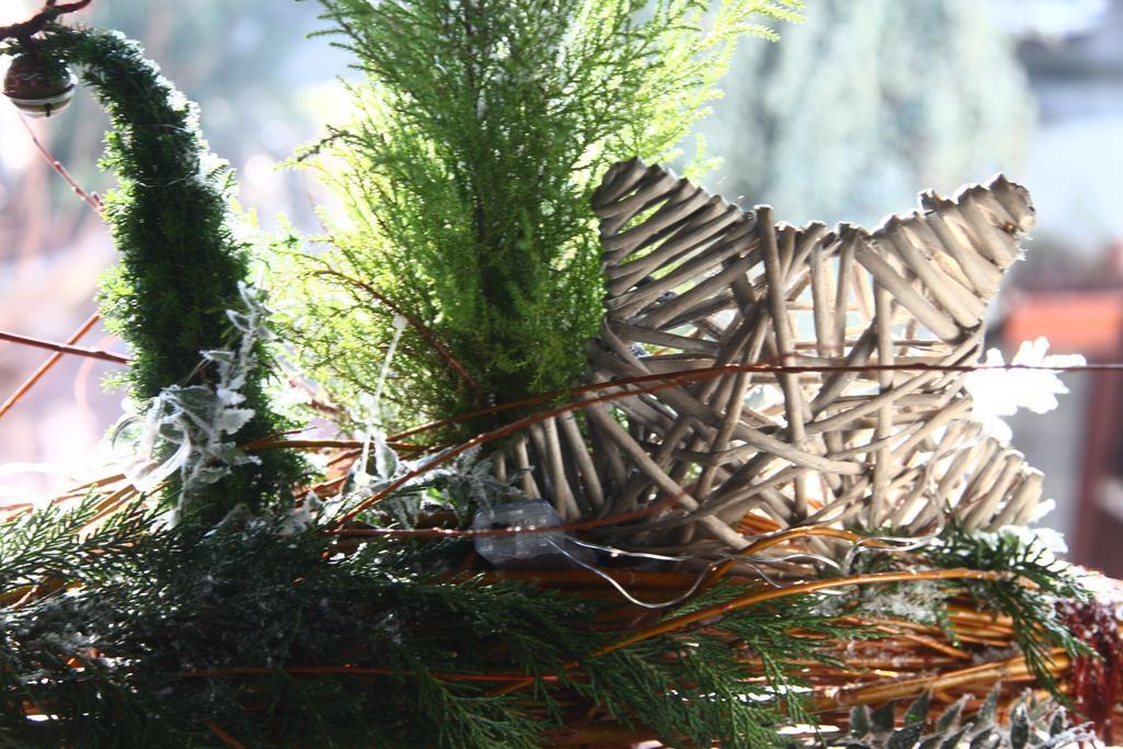 Bed & Breakfast Don Carlos San Martino di Lupari Buitenkant foto