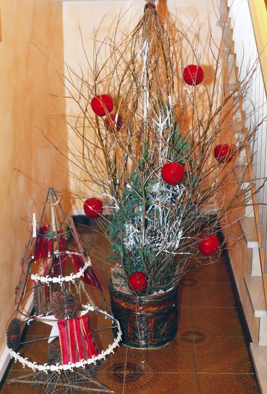 Bed & Breakfast Don Carlos San Martino di Lupari Buitenkant foto
